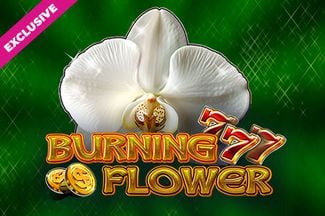Burning Flower